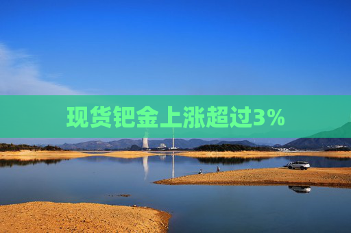 现货钯金上涨超过3%