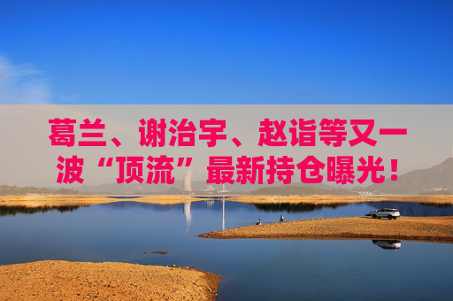 葛兰、谢治宇、赵诣等又一波“顶流”最新持仓曝光！