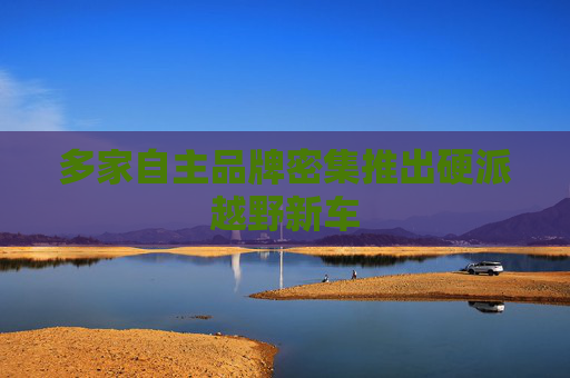多家自主品牌密集推出硬派越野新车