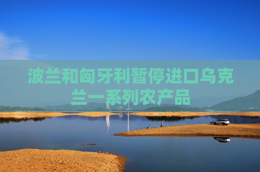 波兰和匈牙利暂停进口乌克兰一系列农产品