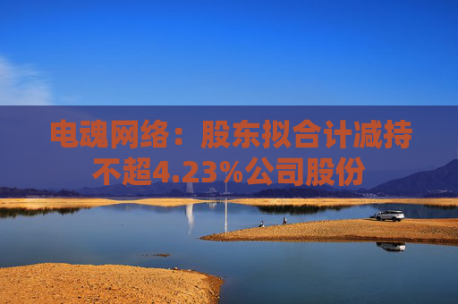 电魂网络：股东拟合计减持不超4.23%公司股份