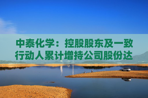 中泰化学：控股股东及一致行动人累计增持公司股份达到4%