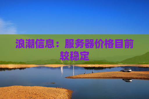 浪潮信息：服务器价格目前较稳定