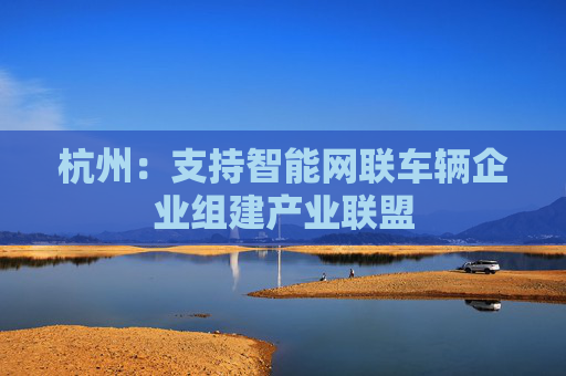 杭州：支持智能网联车辆企业组建产业联盟