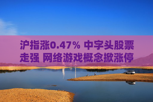 沪指涨0.47% 中字头股票走强 网络游戏概念掀涨停潮