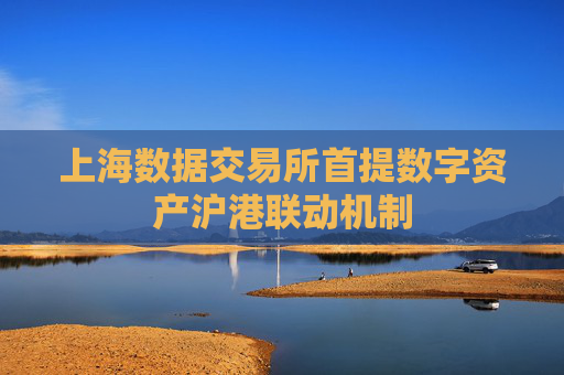 上海数据交易所首提数字资产沪港联动机制