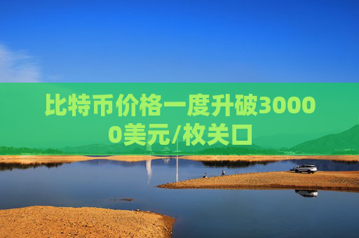 比特币价格一度升破30000美元/枚关口