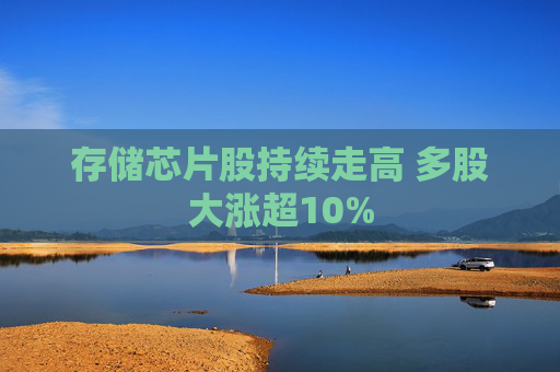 存储芯片股持续走高 多股大涨超10%