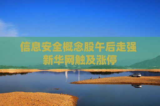 信息安全概念股午后走强 新华网触及涨停