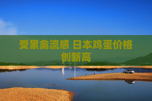 受累禽流感 日本鸡蛋价格创新高