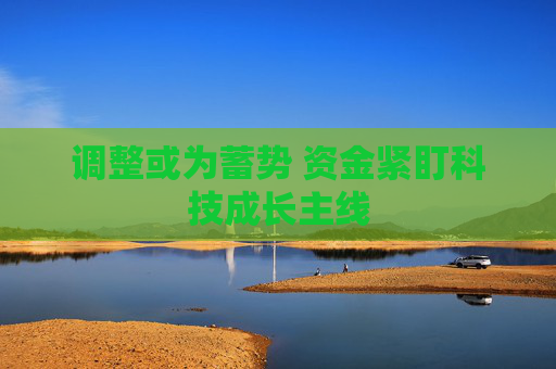 调整或为蓄势 资金紧盯科技成长主线