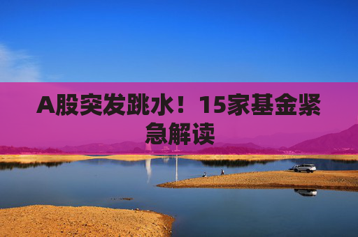 A股突发跳水！15家基金紧急解读