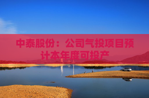 中泰股份：公司气投项目预计本年度可投产