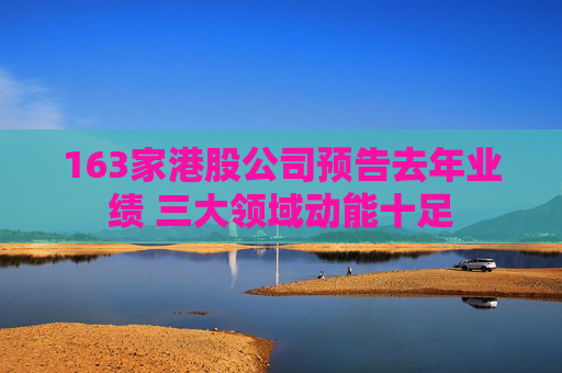 163家港股公司预告去年业绩 三大领域动能十足