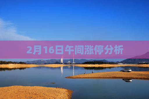 2月16日午间涨停分析