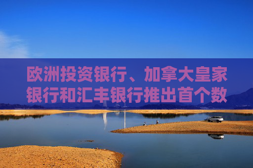 欧洲投资银行、加拿大皇家银行和汇丰银行推出首个数字英镑债券