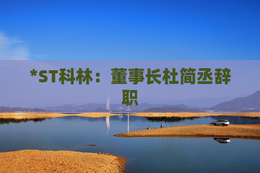 *ST科林：董事长杜简丞辞职
