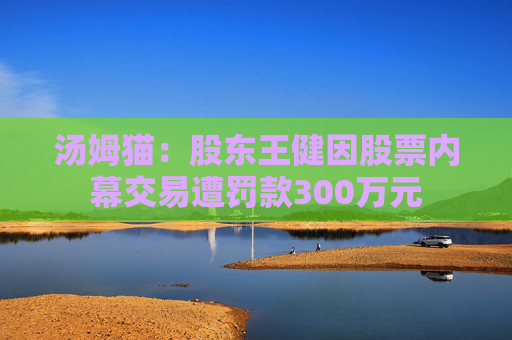 汤姆猫：股东王健因股票内幕交易遭罚款300万元