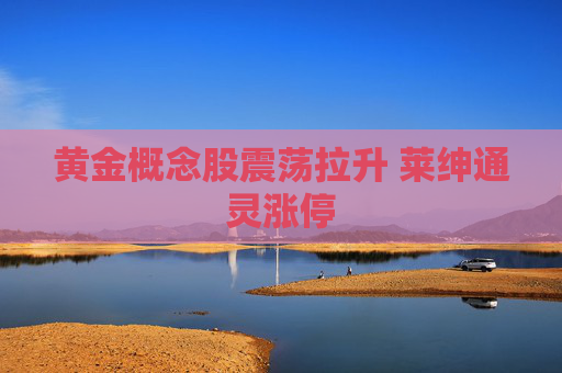 黄金概念股震荡拉升 莱绅通灵涨停