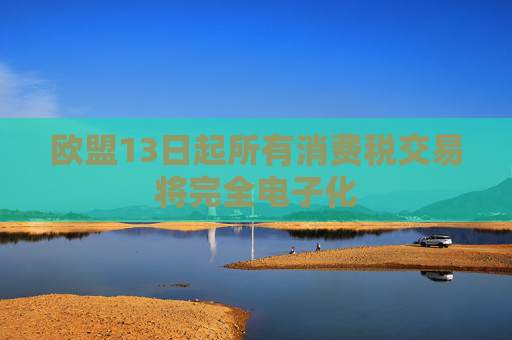 欧盟13日起所有消费税交易将完全电子化