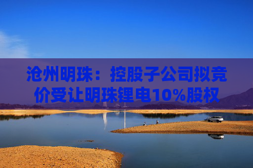 沧州明珠：控股子公司拟竞价受让明珠锂电10%股权