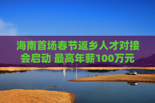 海南首场春节返乡人才对接会启动 最高年薪100万元