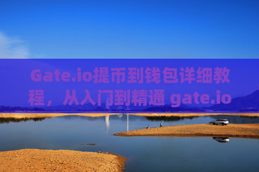 Gate.io提币到钱包详细教程，从入门到精通 gate.io怎么提币到钱包