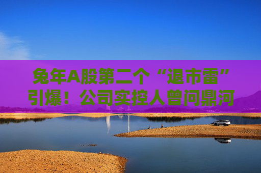 兔年A股第二个“退市雷”引爆！公司实控人曾问鼎河南首富