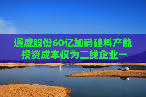 通威股份60亿加码硅料产能 投资成本仅为二线企业一半