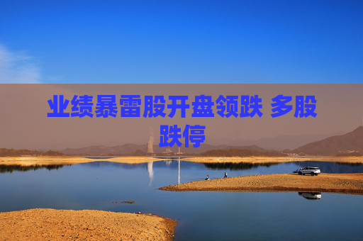 业绩暴雷股开盘领跌 多股跌停