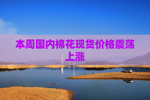 本周国内棉花现货价格震荡上涨