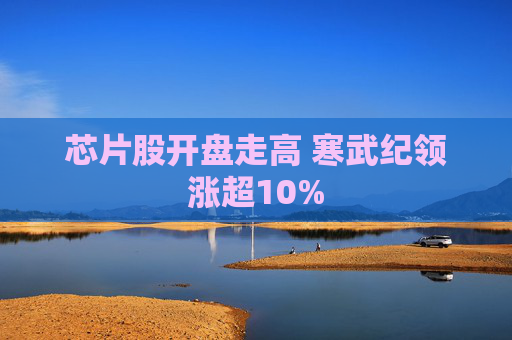 芯片股开盘走高 寒武纪领涨超10%