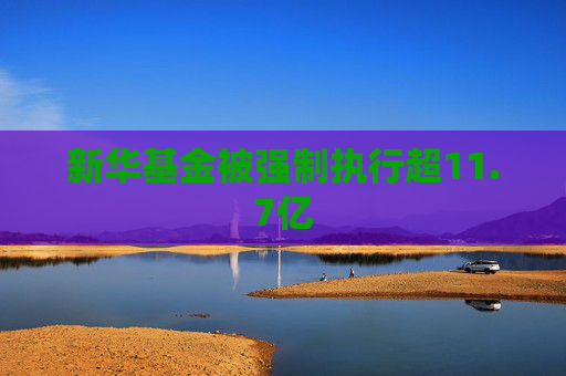 新华基金被强制执行超11.7亿