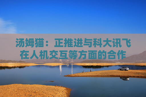 汤姆猫：正推进与科大讯飞在人机交互等方面的合作