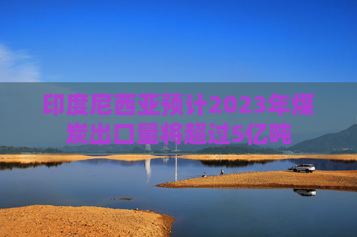 印度尼西亚预计2023年煤炭出口量将超过5亿吨