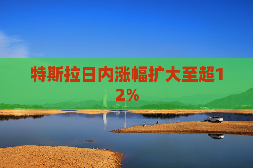 特斯拉日内涨幅扩大至超12%