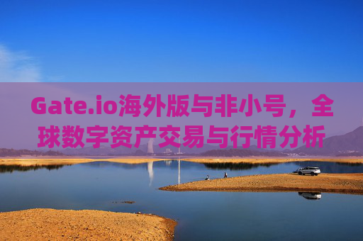 Gate.io海外版与非小号，全球数字资产交易与行情分析平台解析 gate.io海外版gate.io非小号