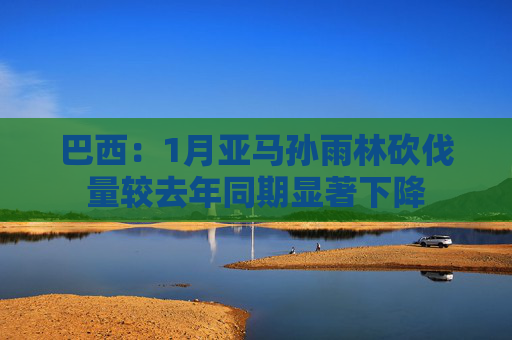 巴西：1月亚马孙雨林砍伐量较去年同期显著下降