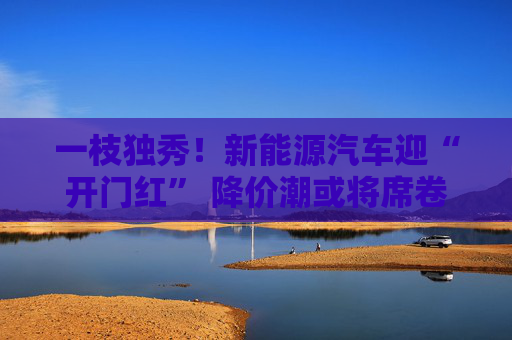 一枝独秀！新能源汽车迎“开门红” 降价潮或将席卷整个行业