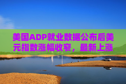 美国ADP就业数据公布后美元指数涨幅收窄，最新上涨0.08%，报98.221