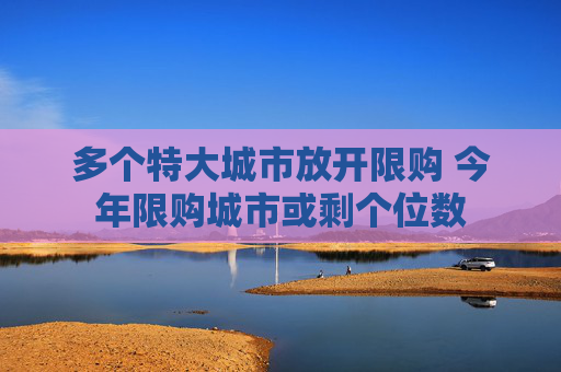多个特大城市放开限购 今年限购城市或剩个位数