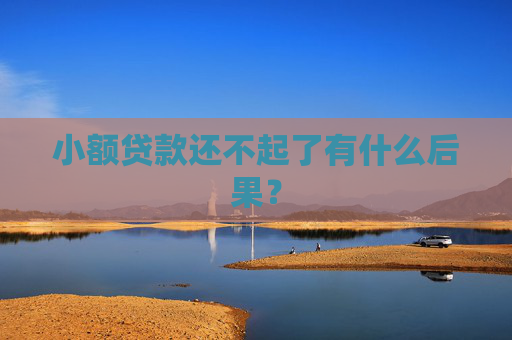 小额贷款还不起了有什么后果？