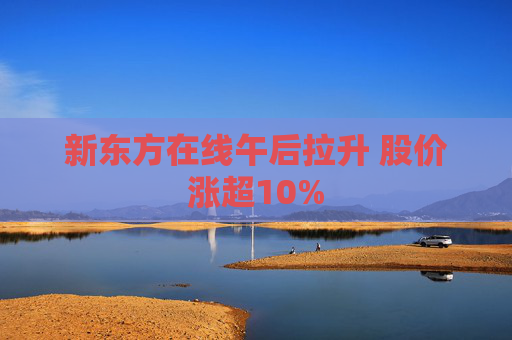 新东方在线午后拉升 股价涨超10%