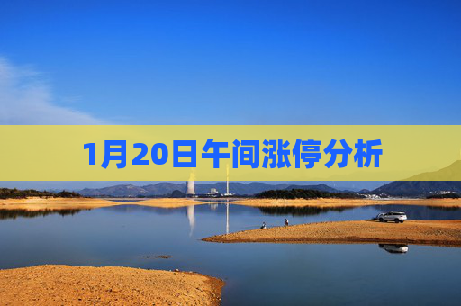 1月20日午间涨停分析