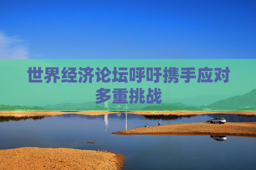 世界经济论坛呼吁携手应对多重挑战