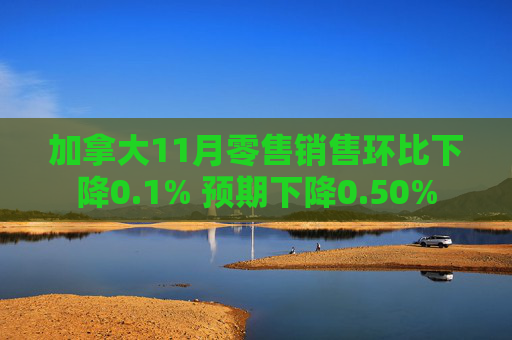 加拿大11月零售销售环比下降0.1% 预期下降0.50%