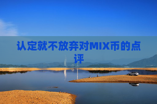 认定就不放弃对MIX币的点评