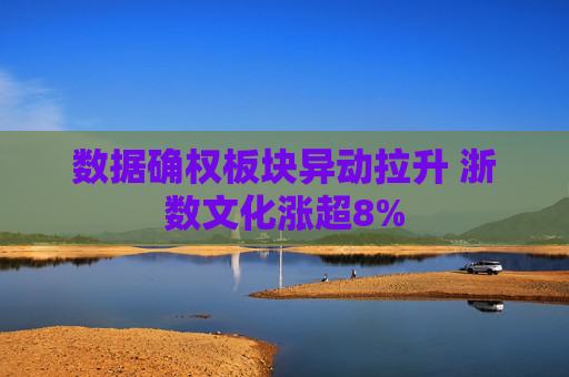 数据确权板块异动拉升 浙数文化涨超8%