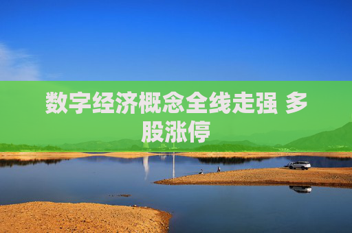 数字经济概念全线走强 多股涨停