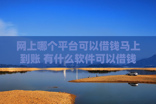 网上哪个平台可以借钱马上到账 有什么软件可以借钱
